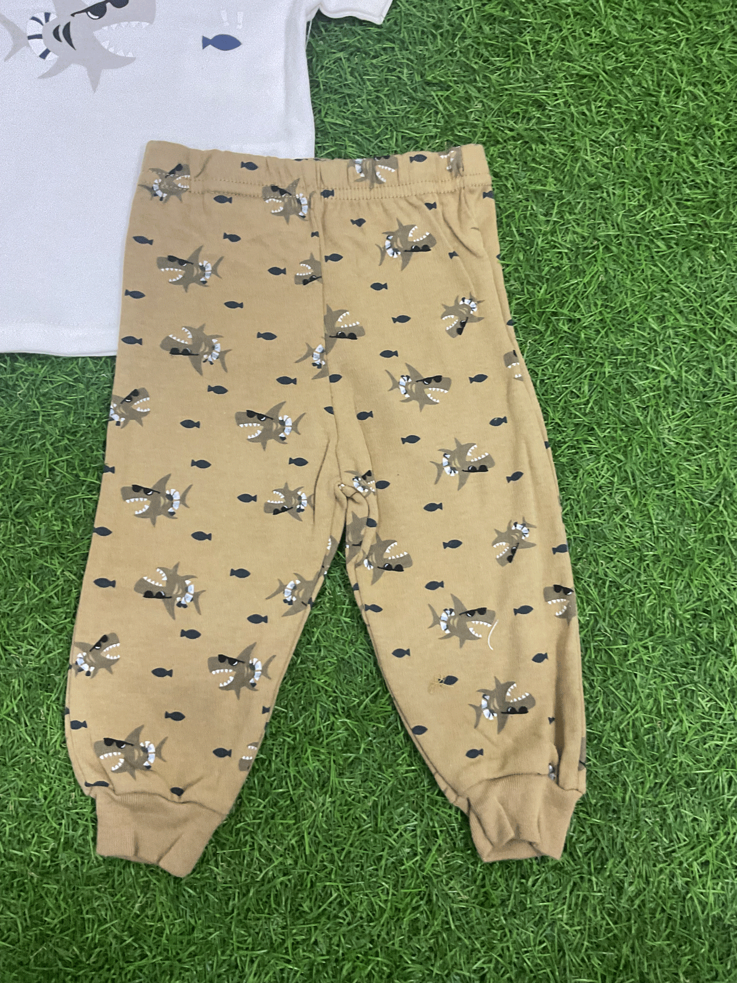CONJUNTO -04132434