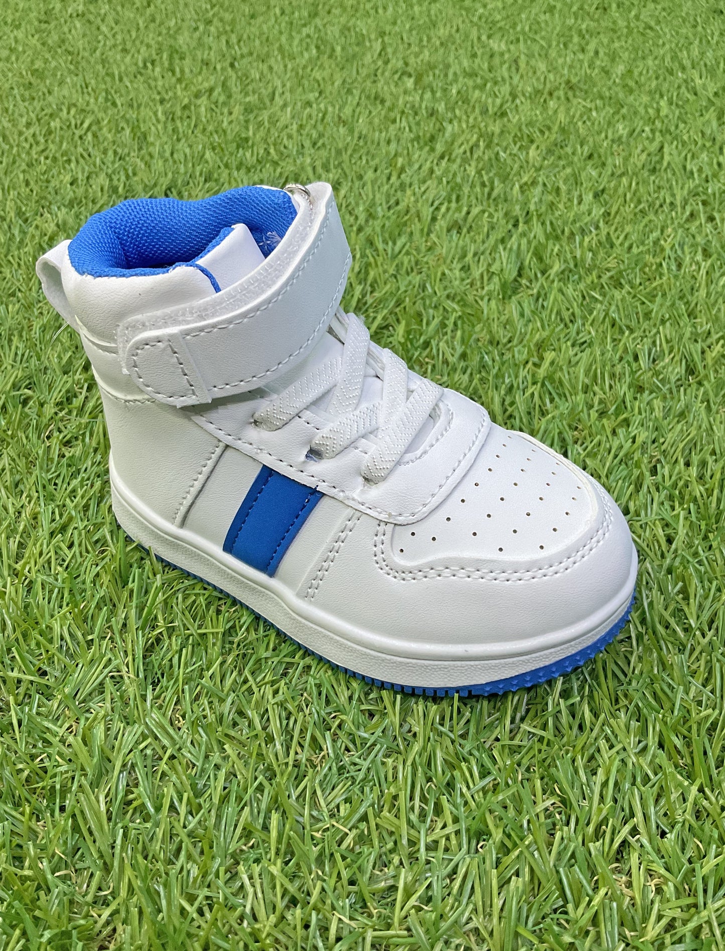 Zapatos tipo botines - TBP34729ICC - TBP34729TCC