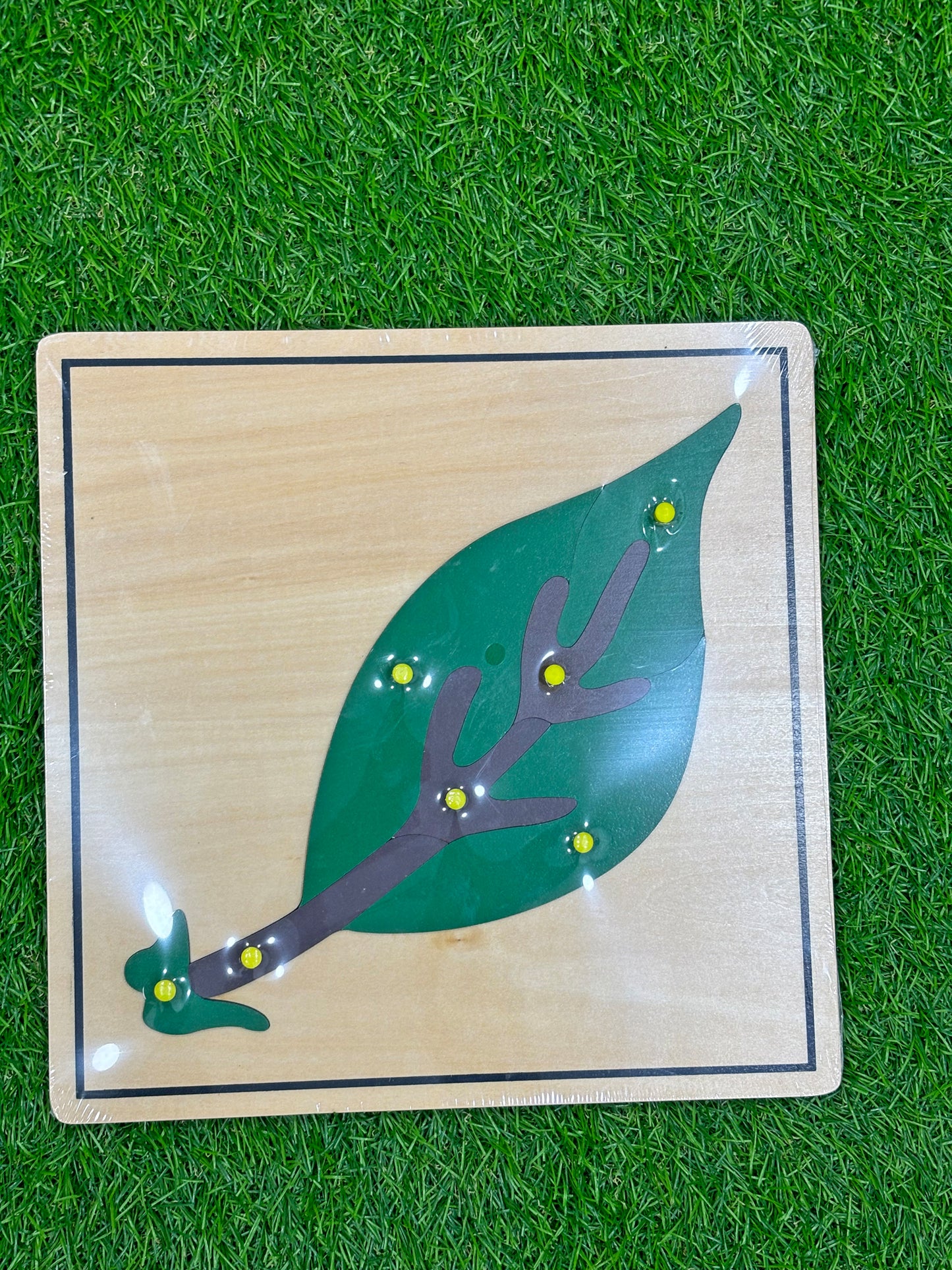 Juego didáctico - PZ20