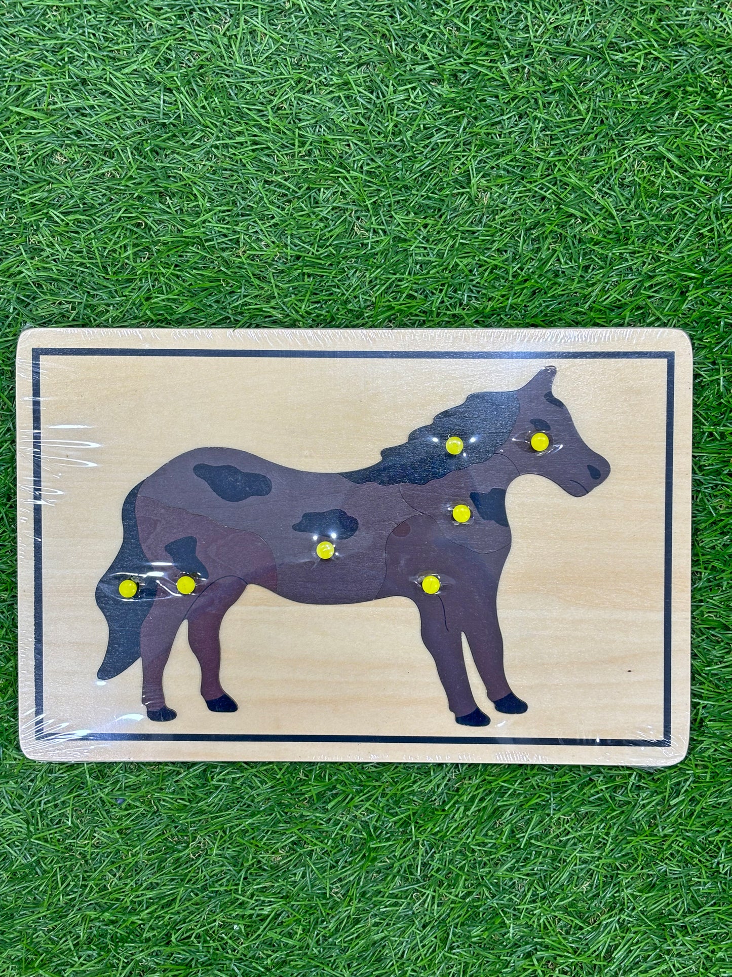 Juego didáctico - PZ20