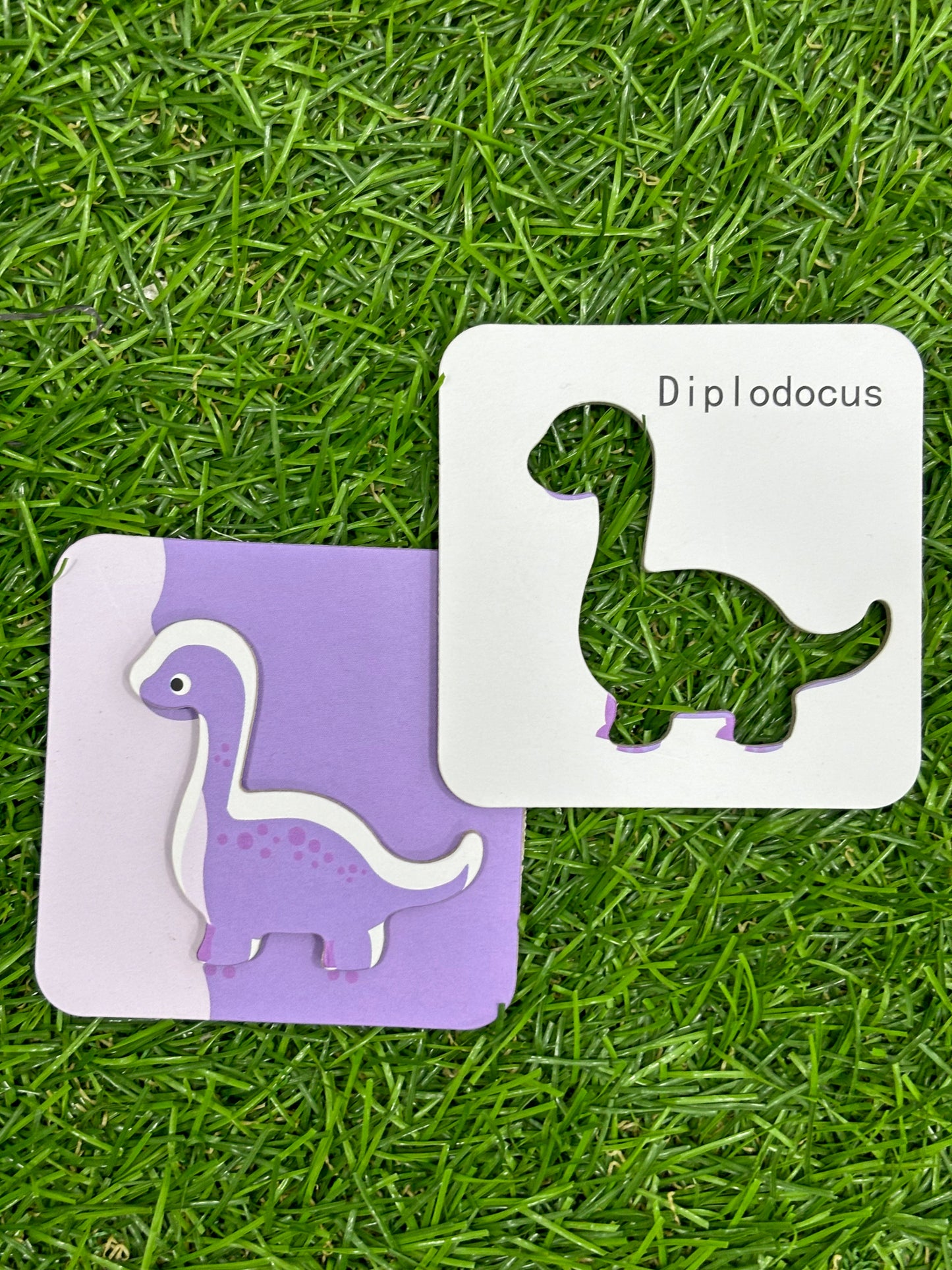 Rompecabezas didáctico - PY49