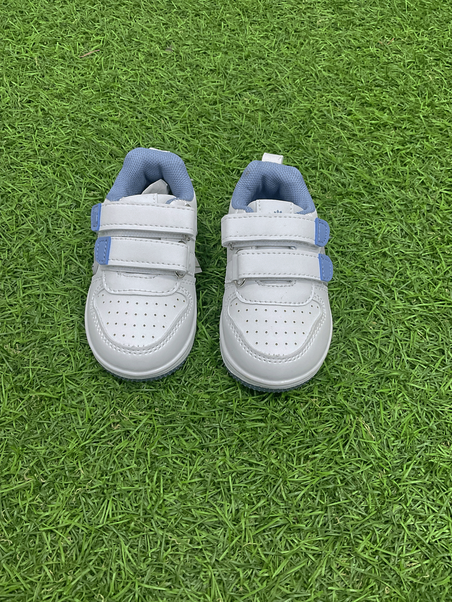 ZAPATOS - TBPHF1073ICC