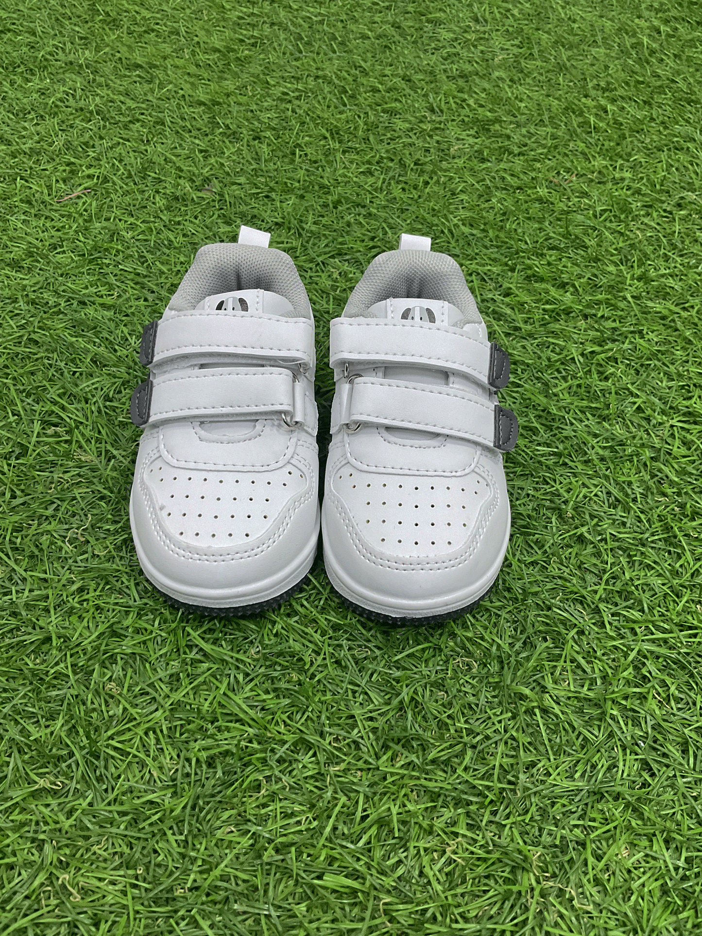 ZAPATOS - TBPHF1073ICC