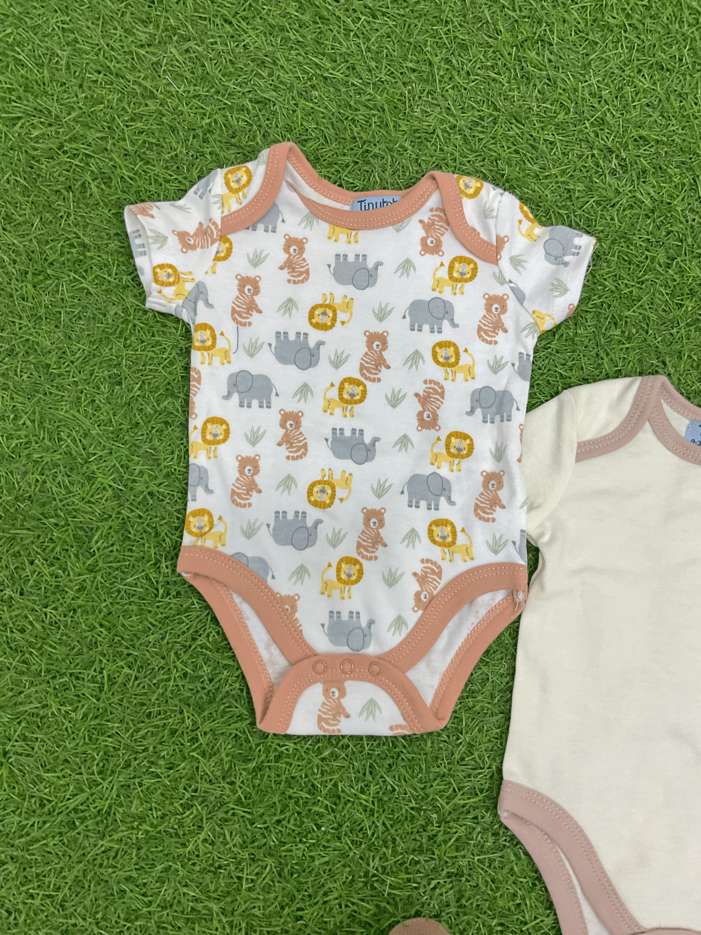 SET DE 5 PIEZAS - AP15094