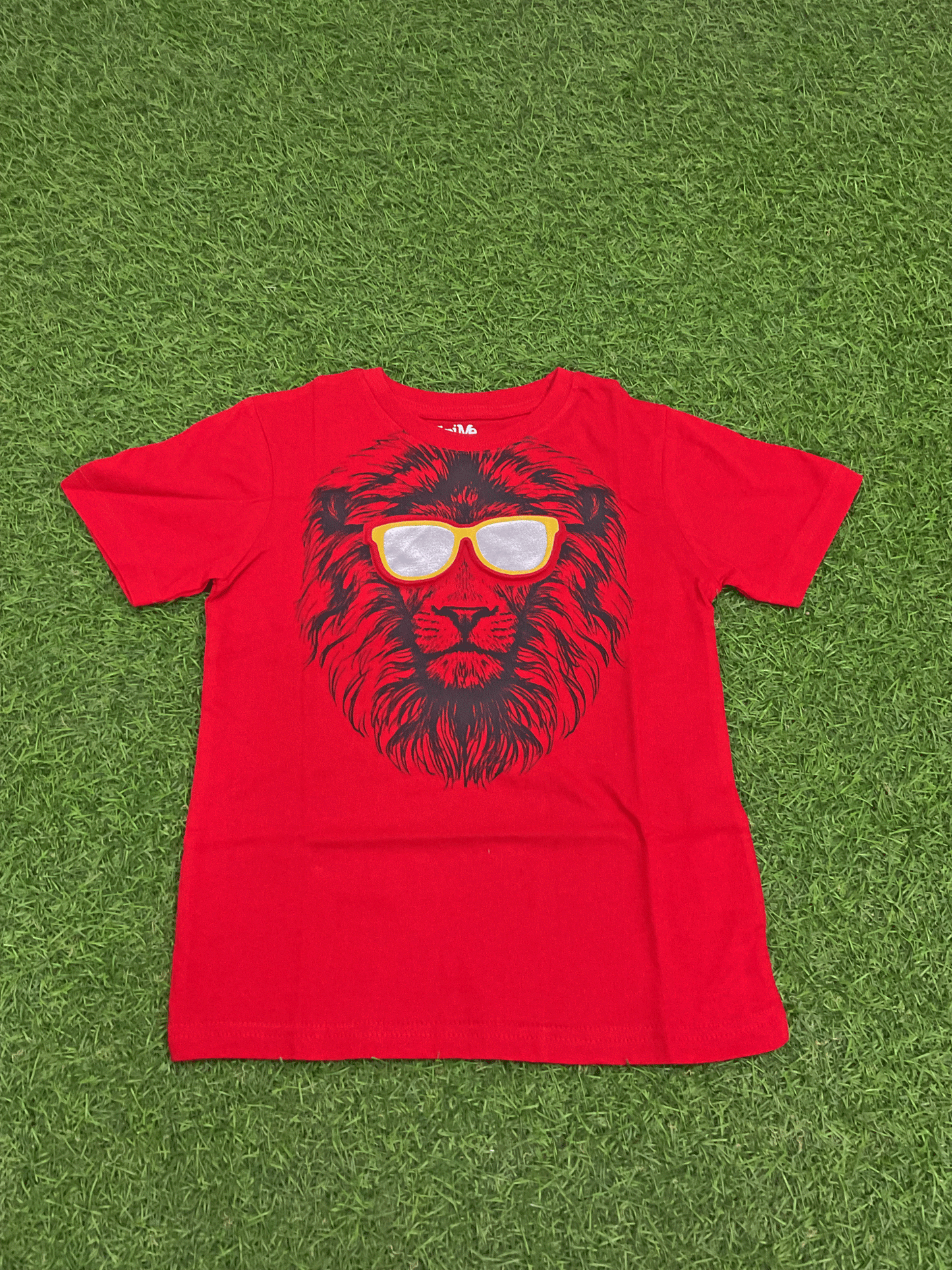 CAMISA - 3304763B