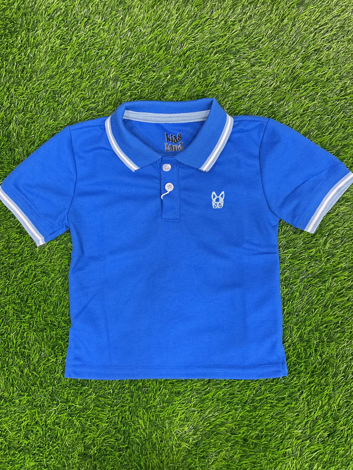 Chemise - 7762079256