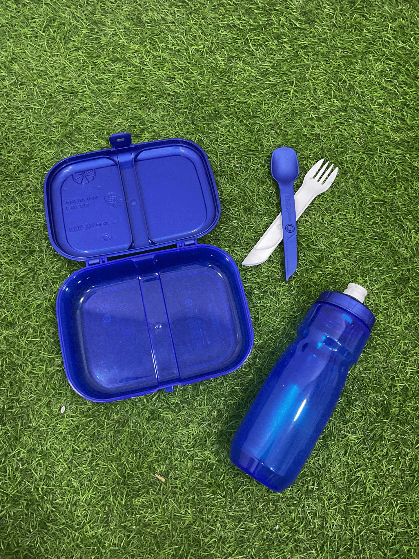 SET DE LONCHERA - 1649