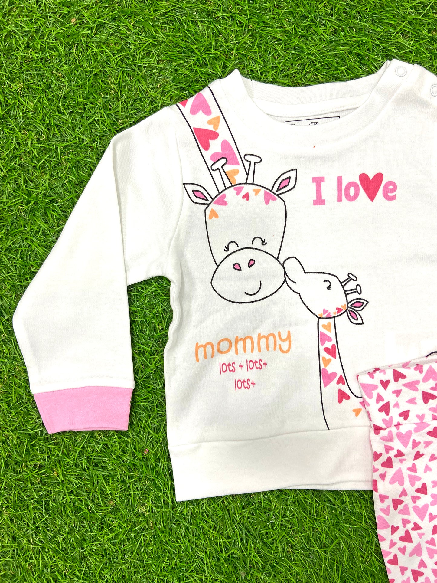 Conjunto - 3305838