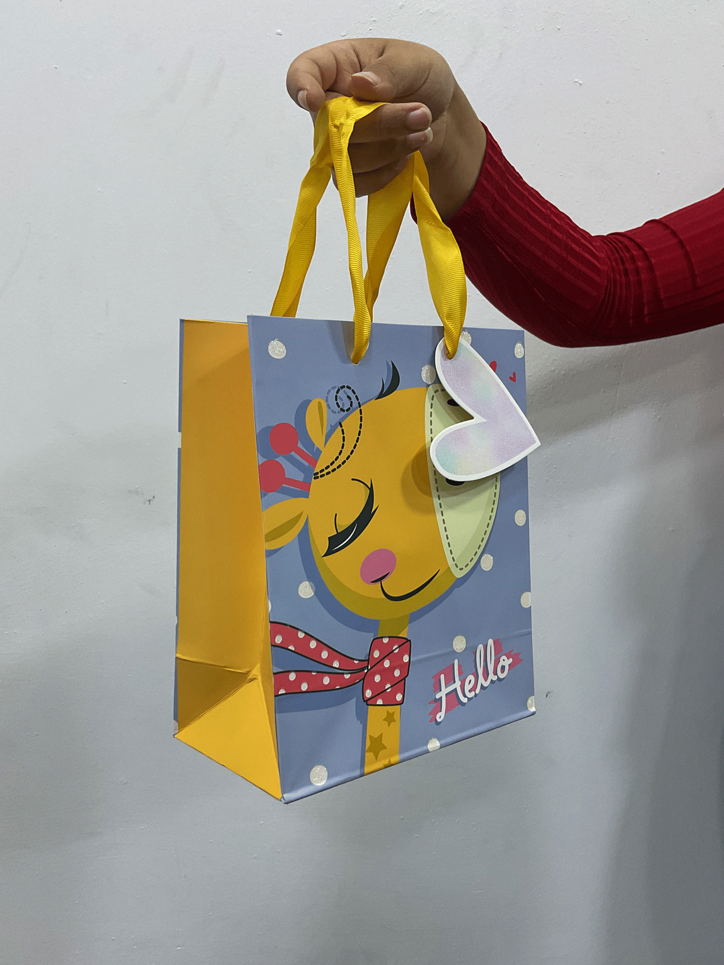BOLSA DE REGALO - 01326