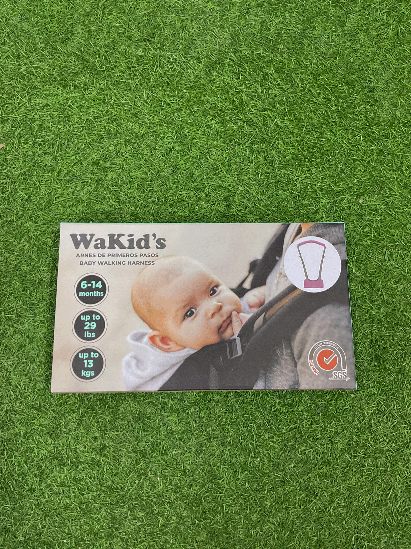 ARNES DE PRIMEROS PASOS - A77584