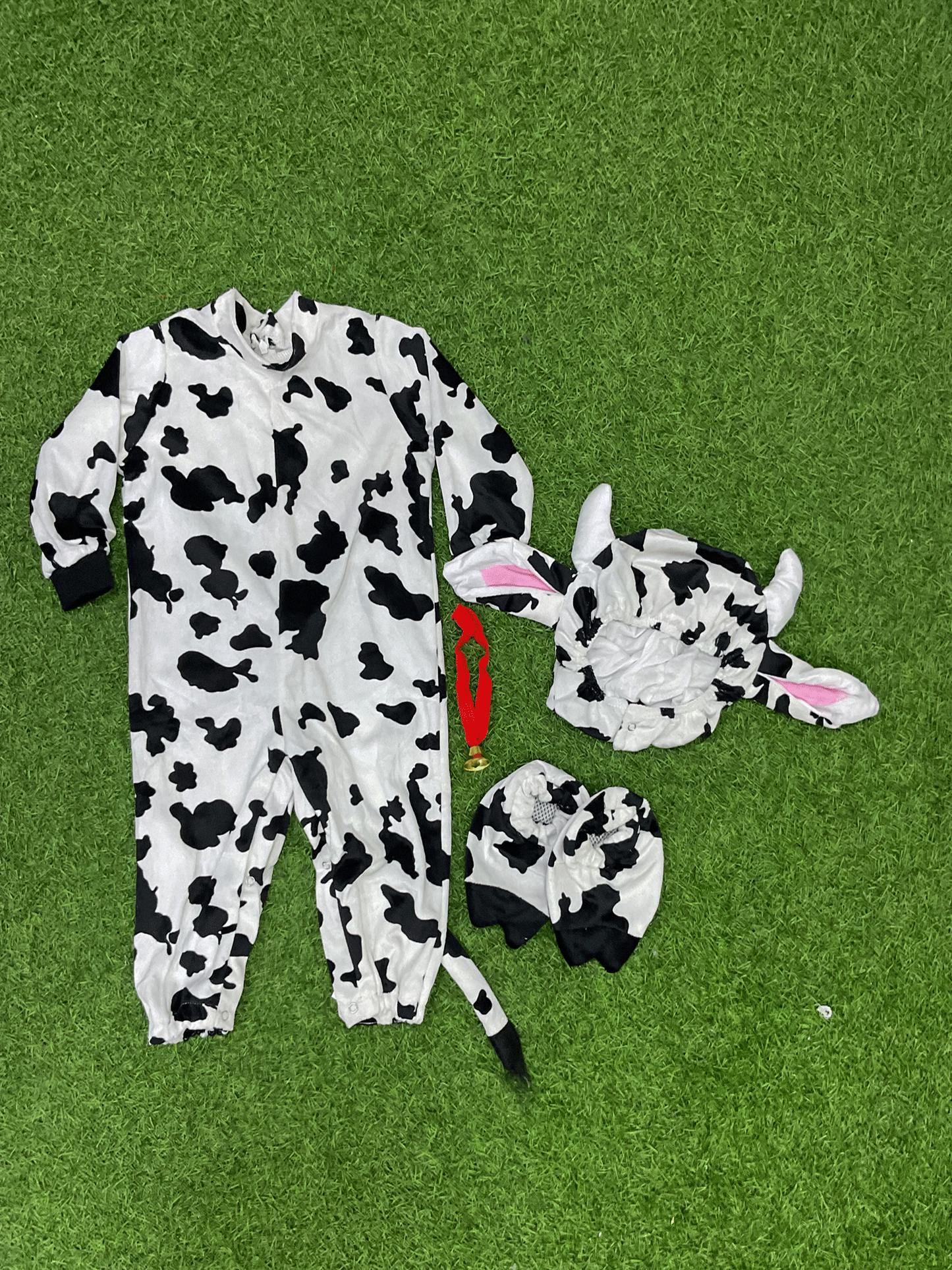 DIZFRAS DE VACA - KB034231