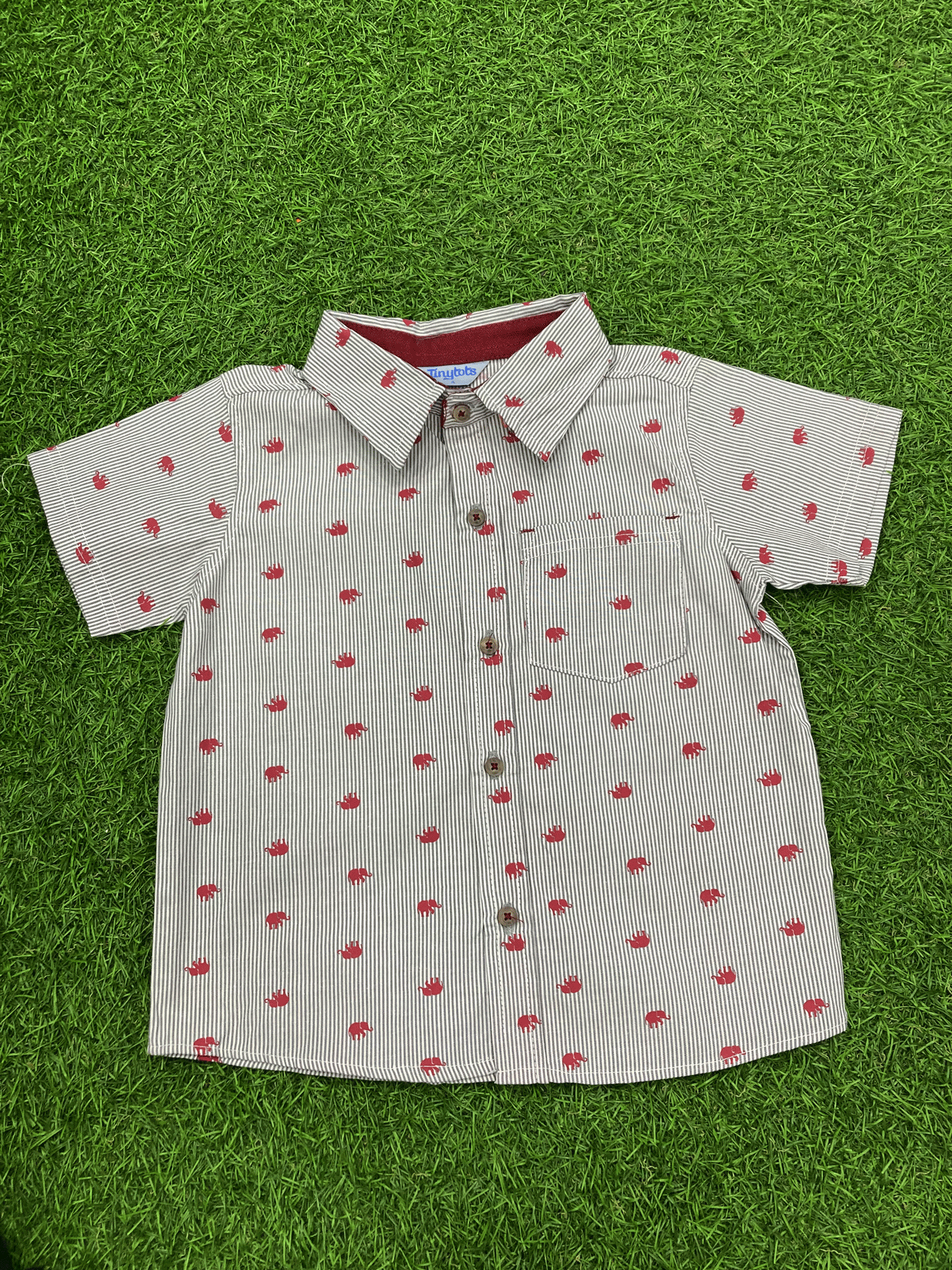 CAMISA - D61001TT