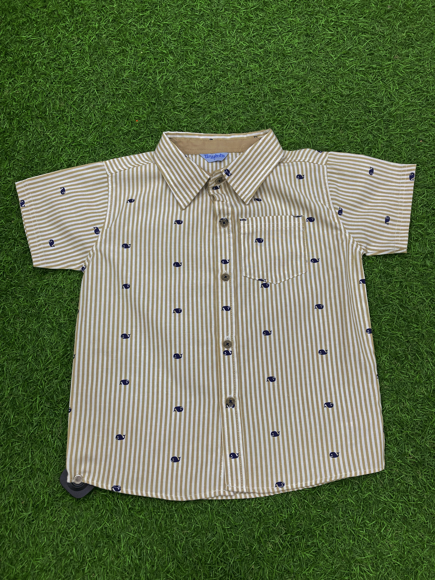 CAMISA - D61002TT