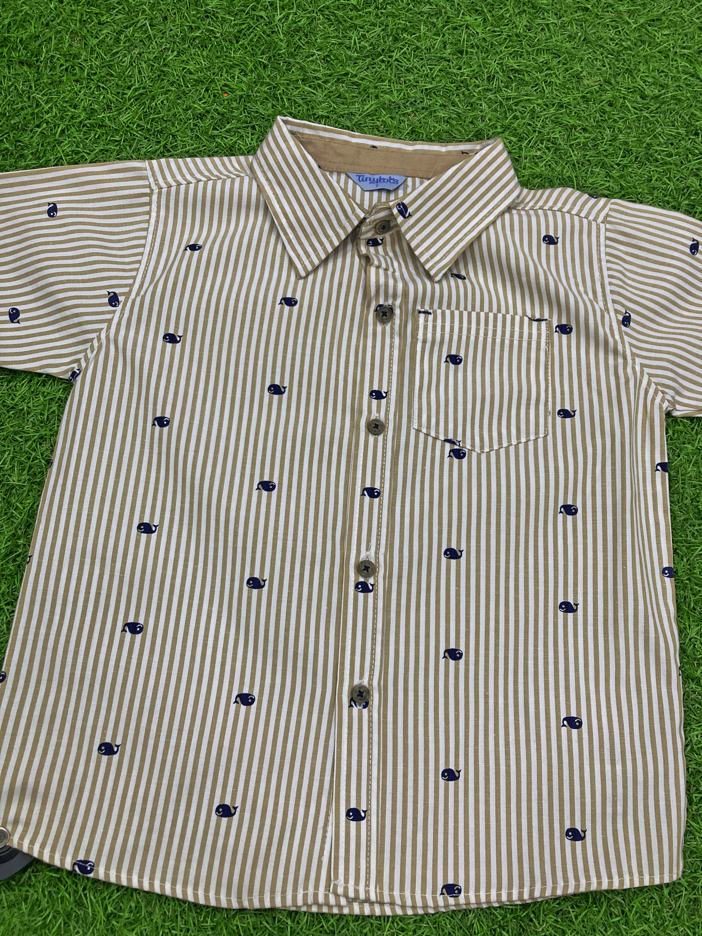 CAMISA - D61002TT