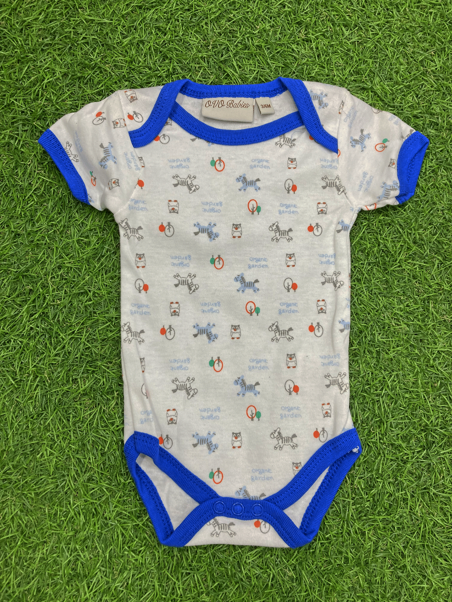 SET DE 8 PIEZAS - 04229999