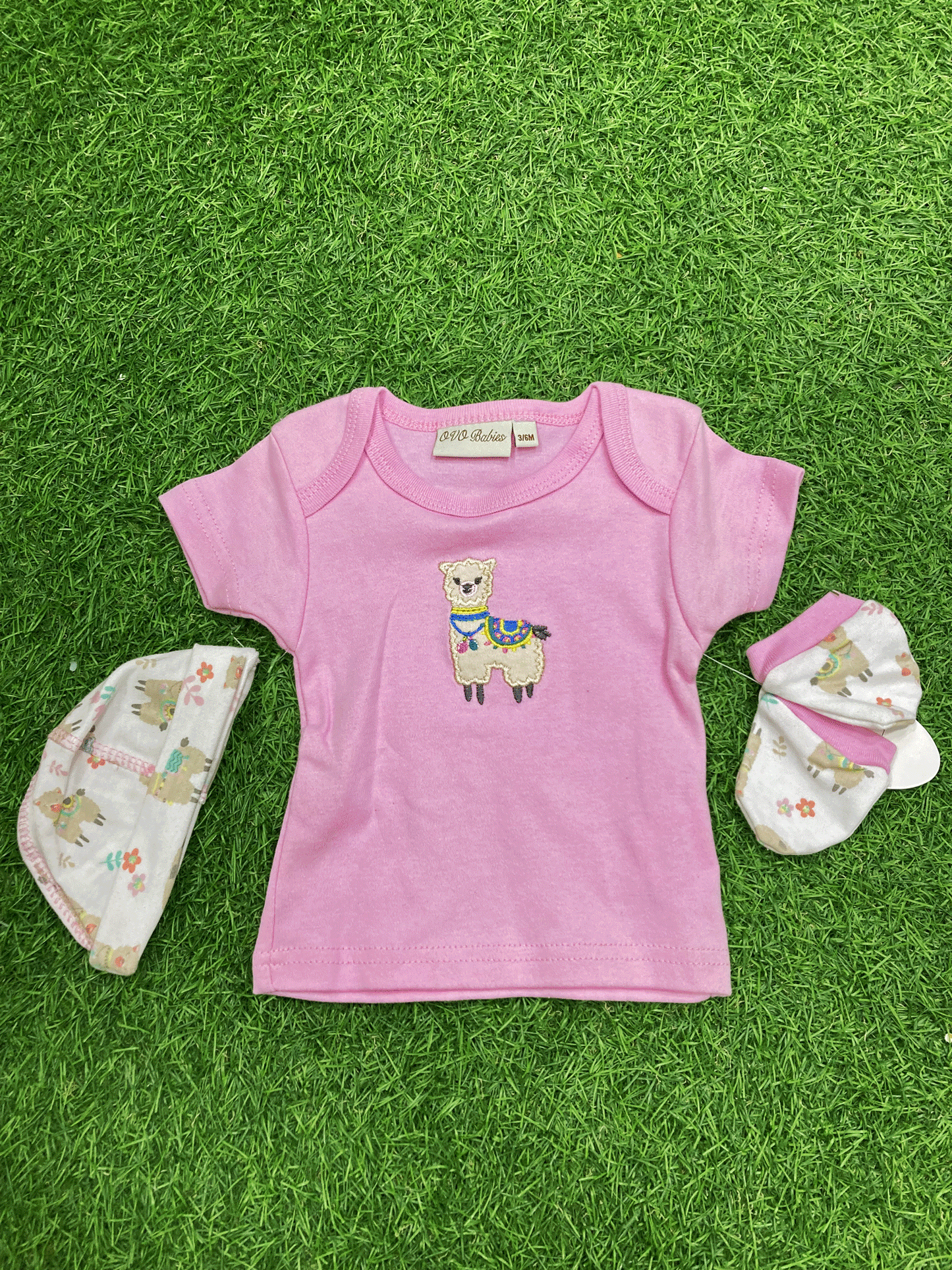 SET DE 8 PIEZAS - 02530002