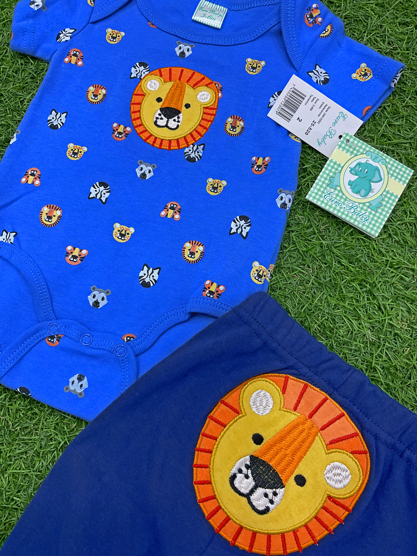 Conjunto de dos piezas -2900262