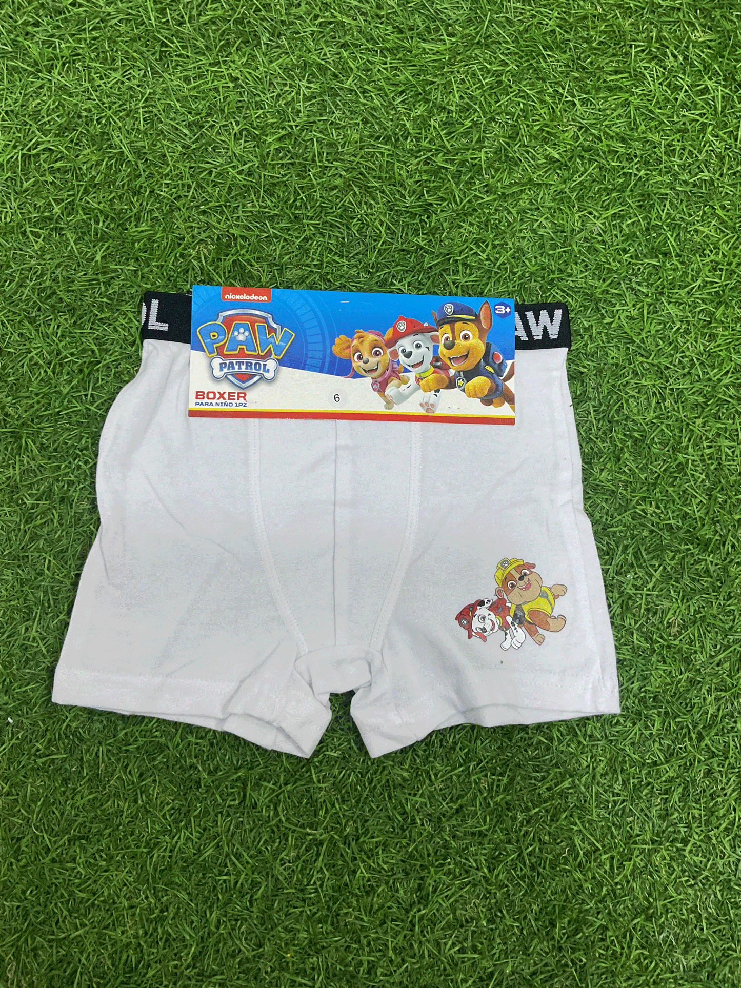 BOXER - 5030292