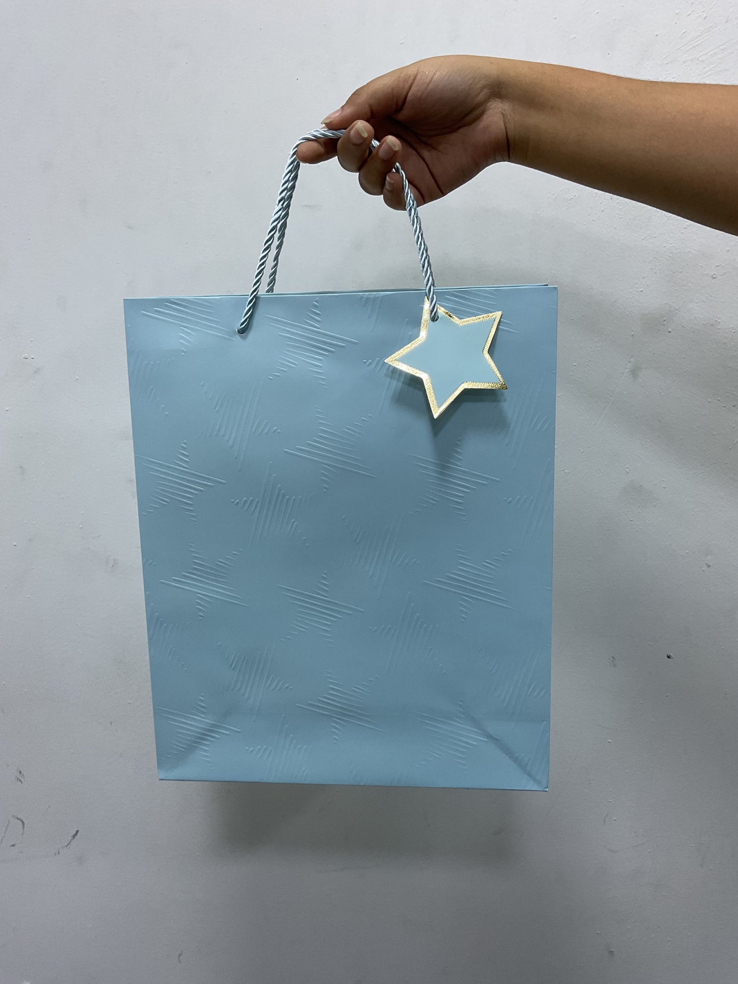 BOLSA DE REGALO - 82001352