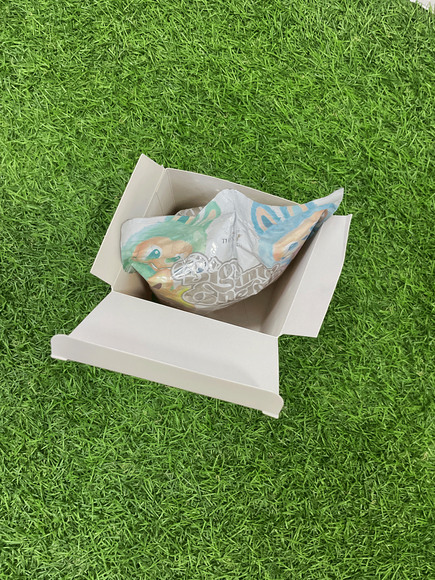 CAJA CIEGA LABUBU - 5090604022601