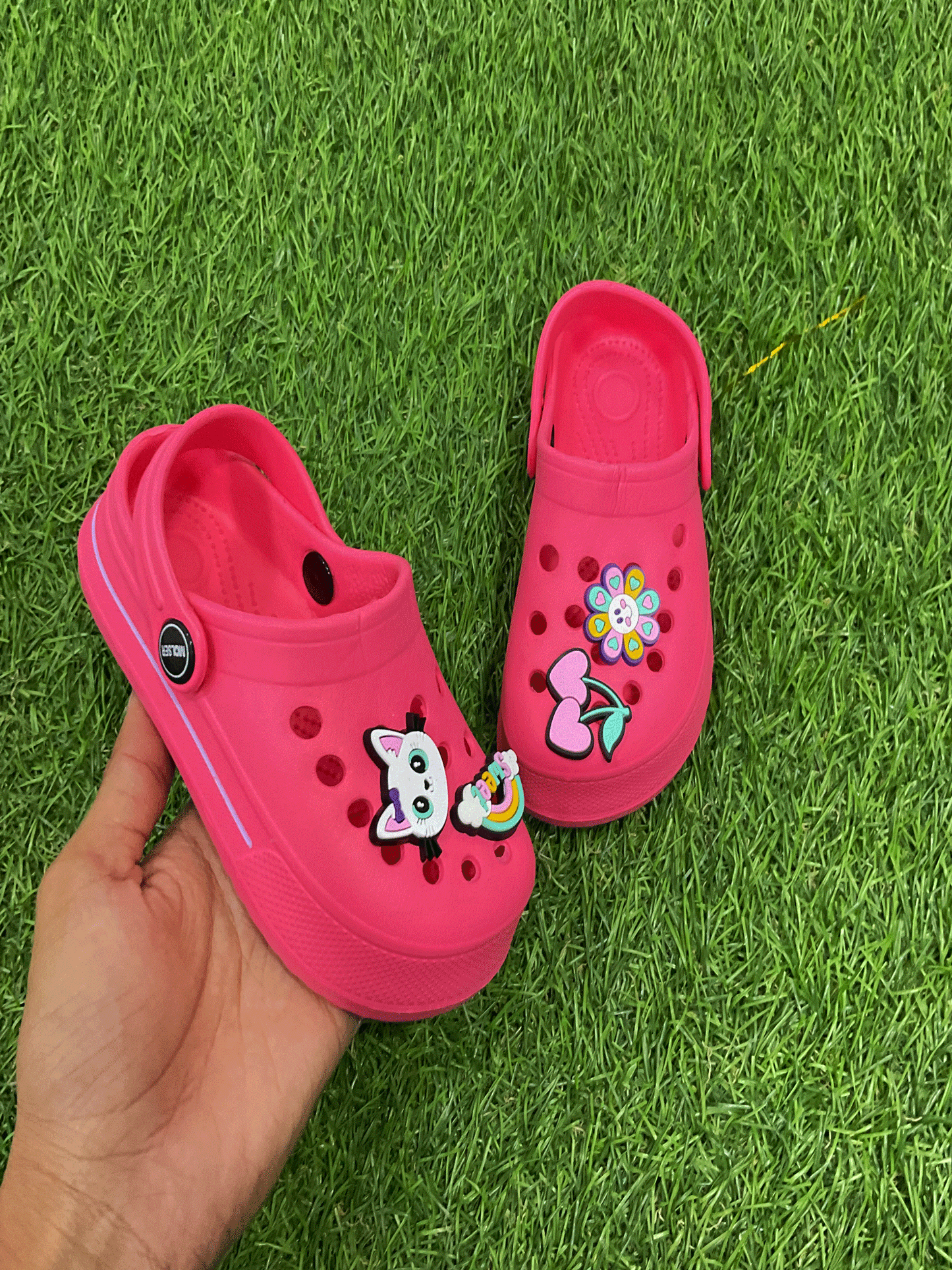 CHOLAS - EMRCH41013G