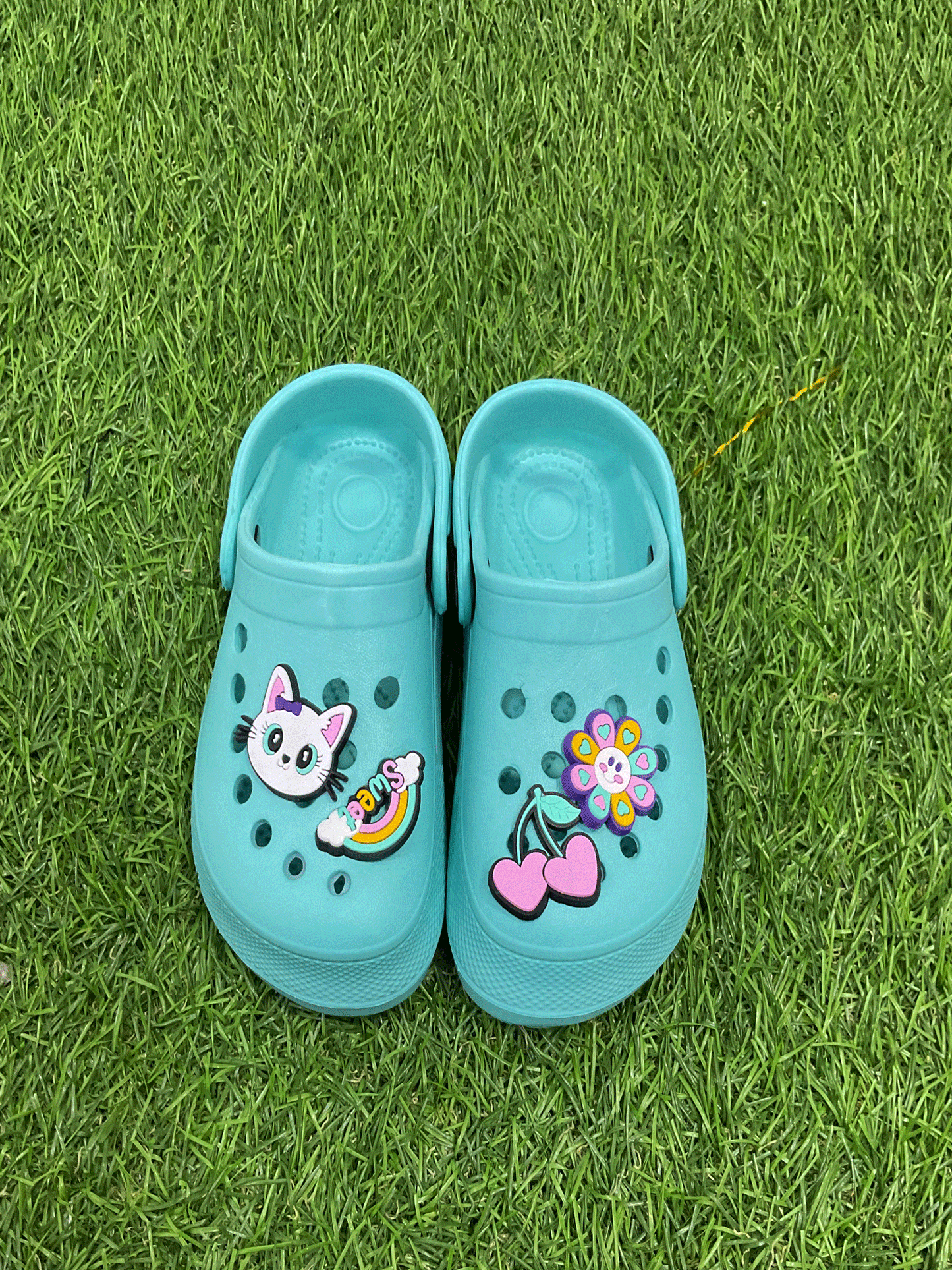 CHOLAS - EMRCH41013G