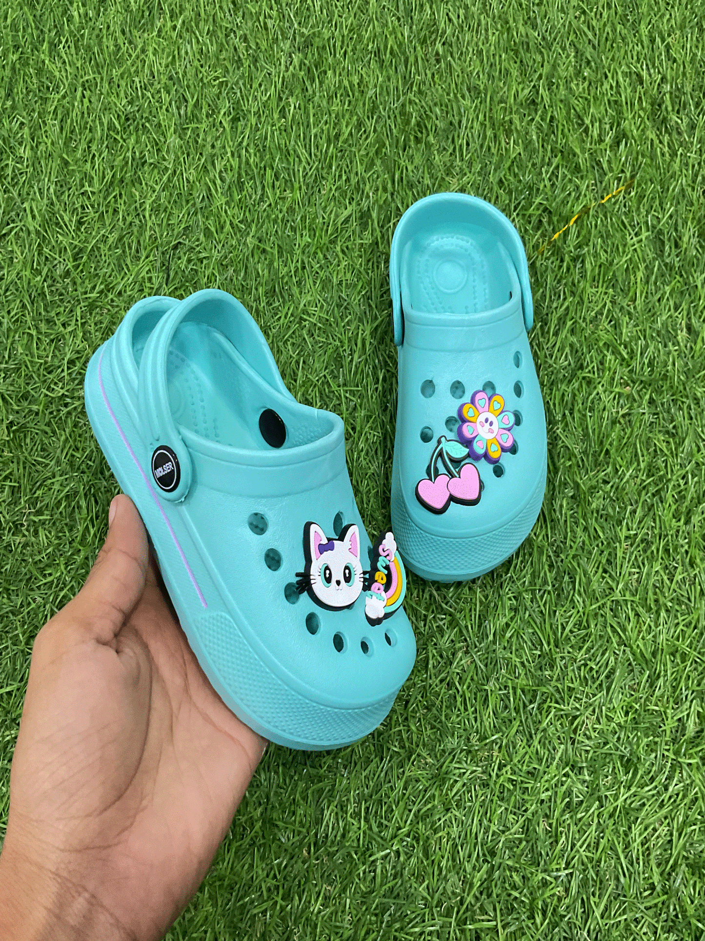 CHOLAS - EMRCH41013G