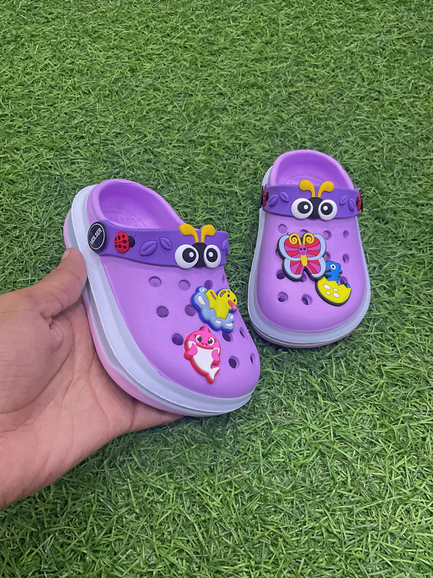 CHOLAS - EMRCH40673CG