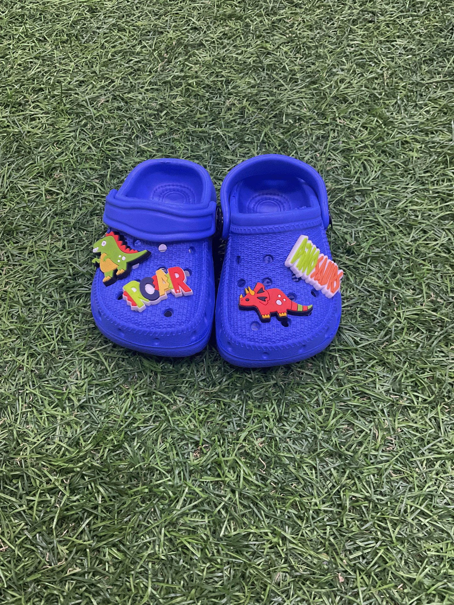CHOLAS - EMRCH407321B