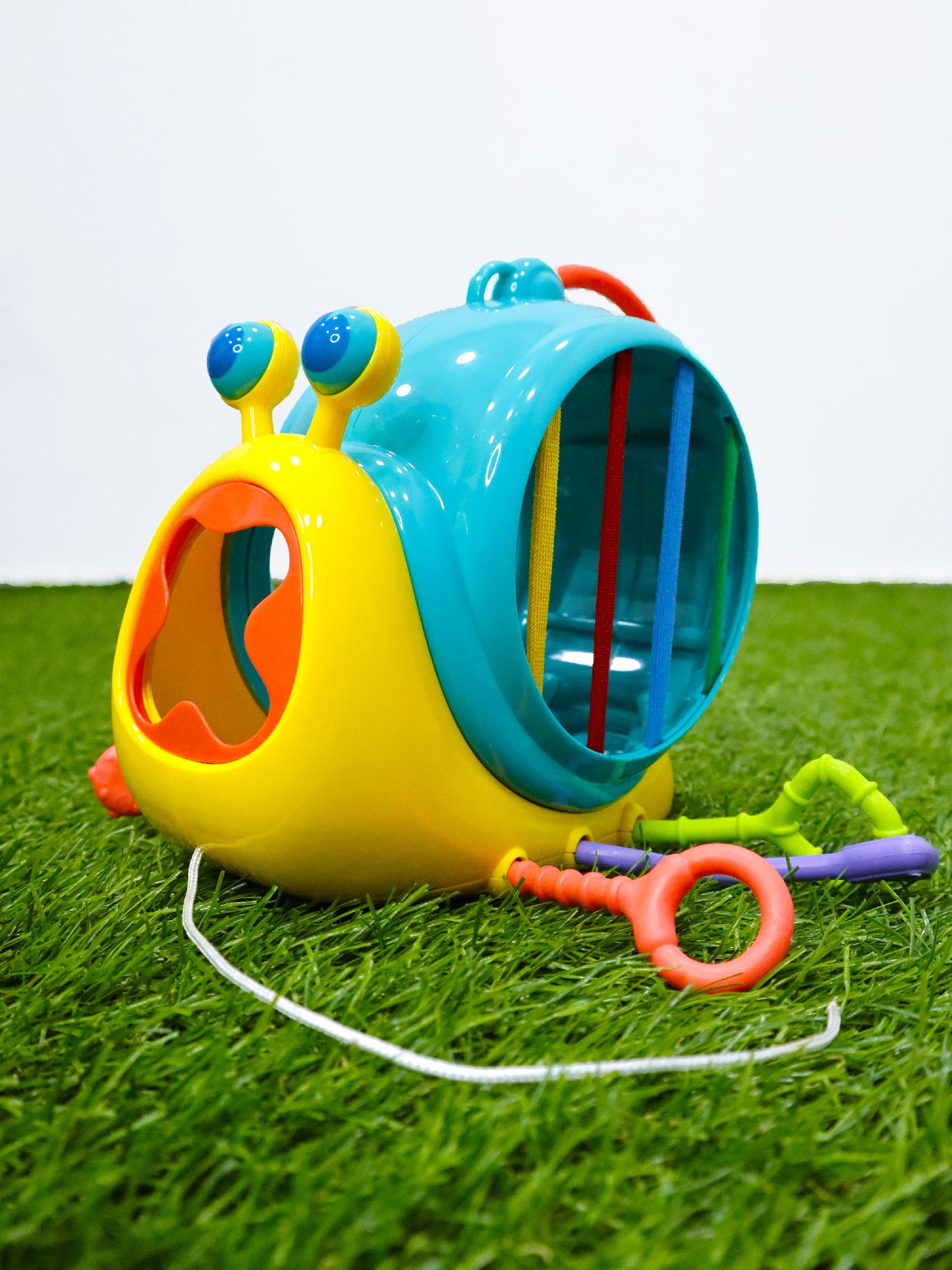 Divertido caracol - PM05