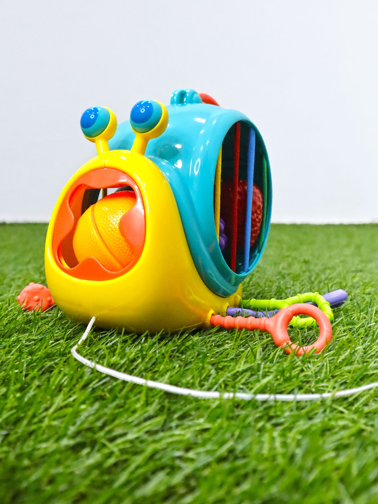 Divertido caracol - PM05