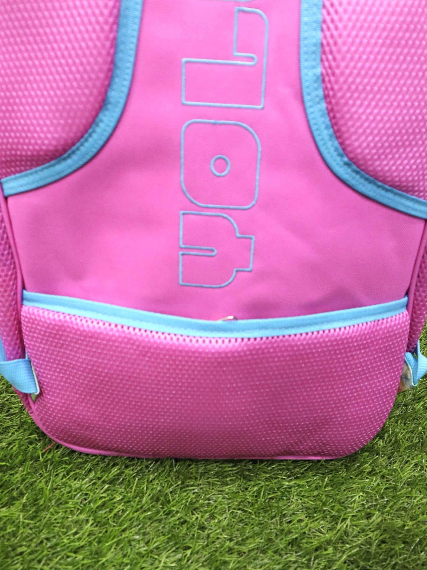 Bolso YOLO - 4235012