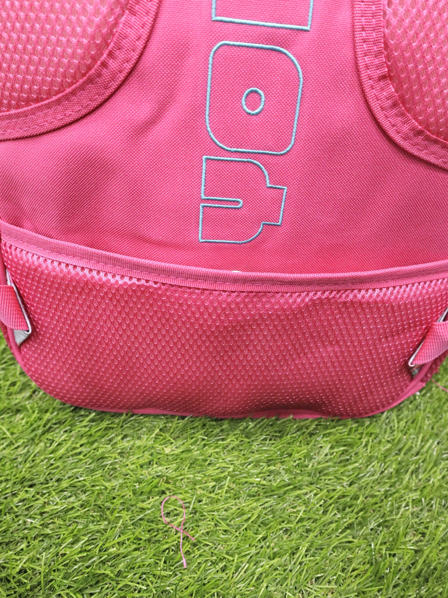 Bolso YOLO - 4235006
