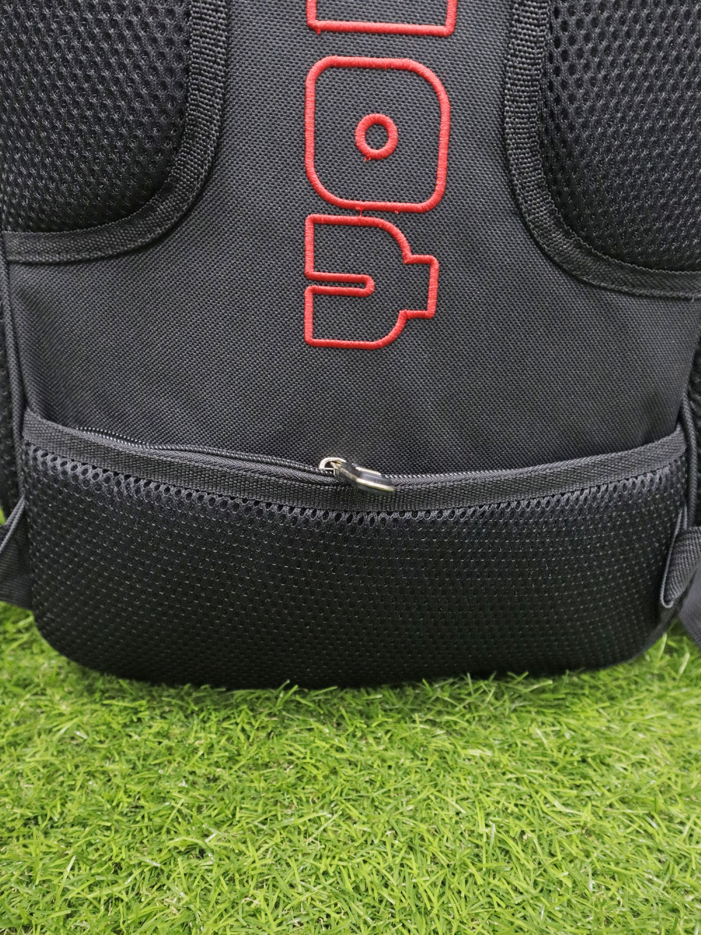 Bolso YOLO - 4253187