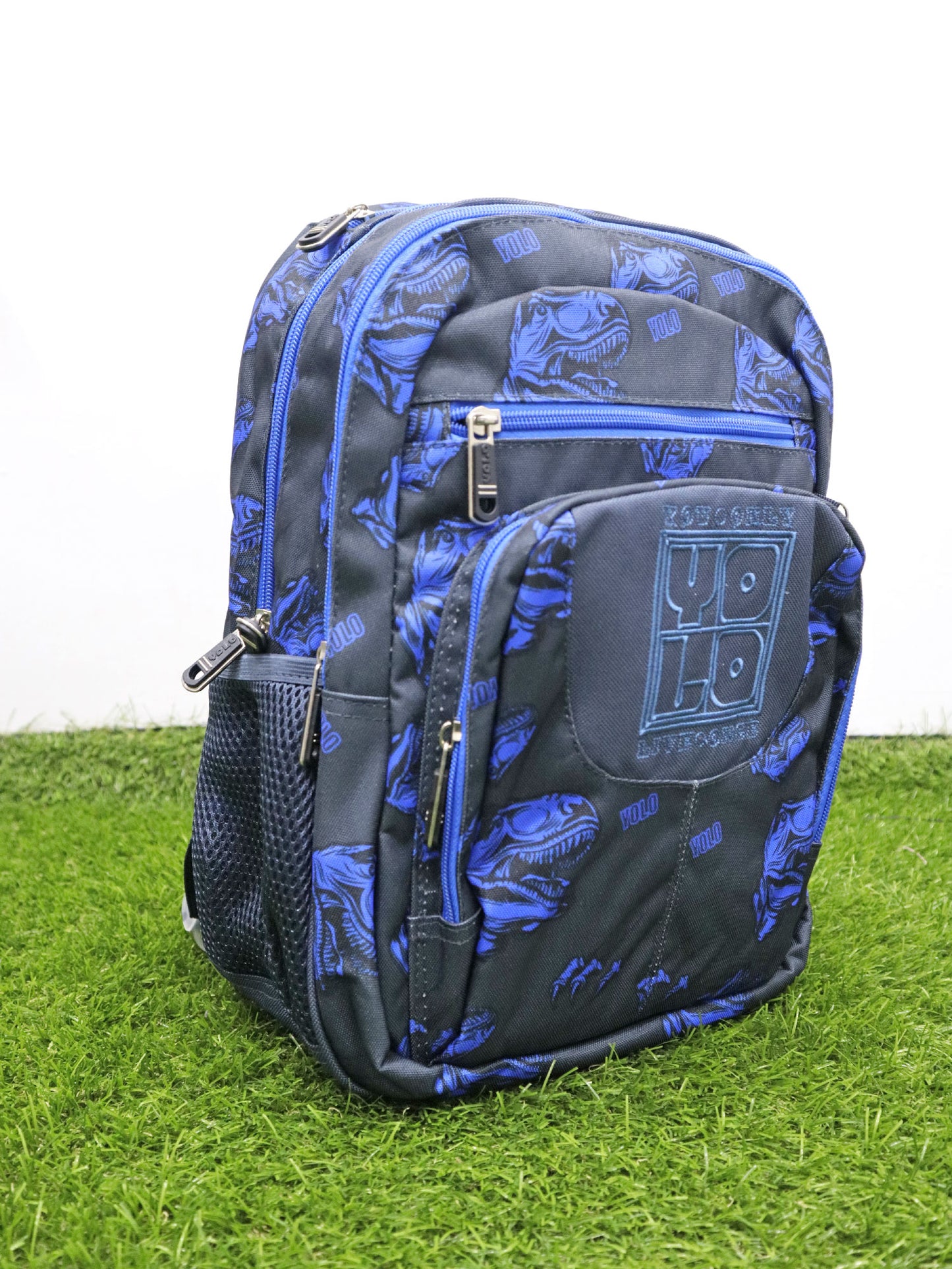 Bolso YOLO - 4253187