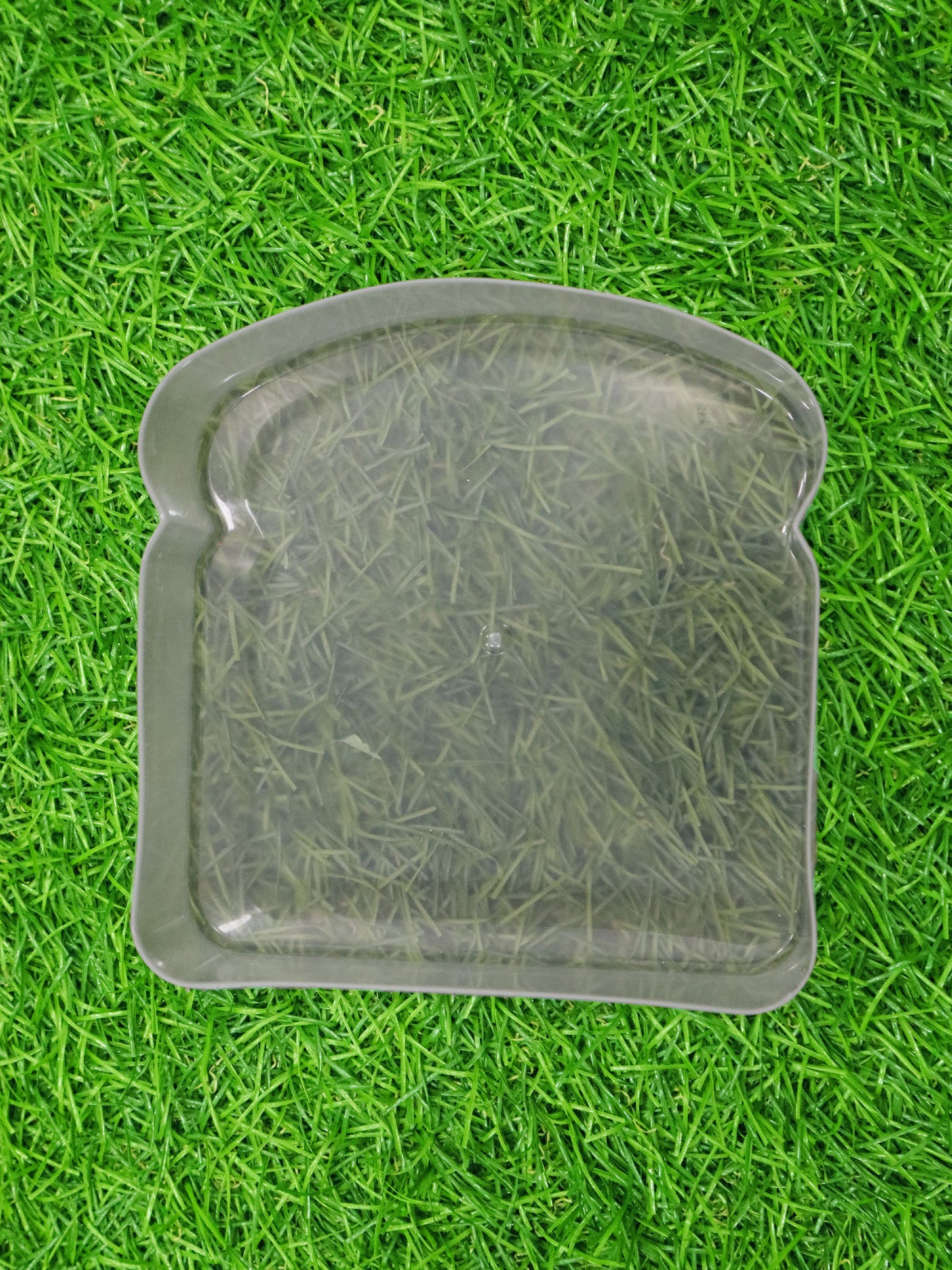 Envase plástico - 02119358