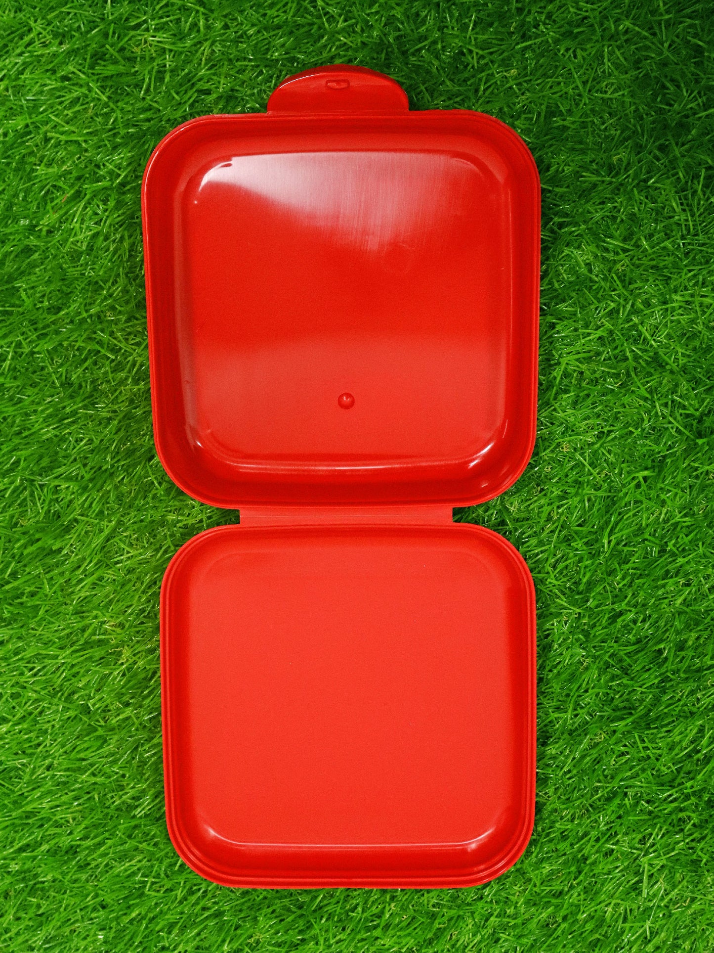 Envase para sandwich - 161457002