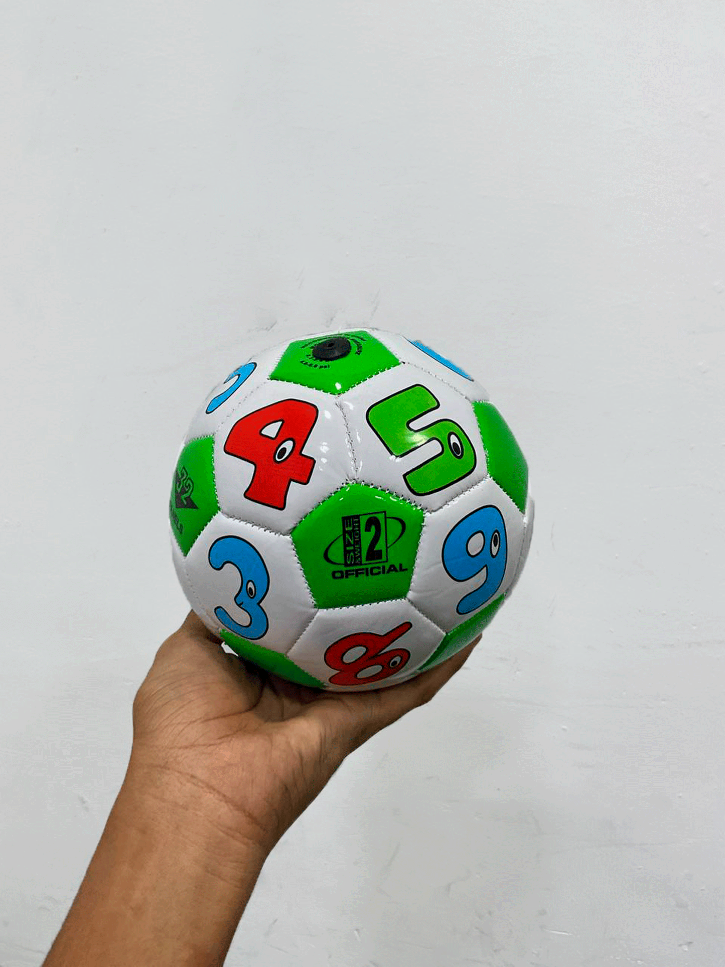 PELOTA - T242388