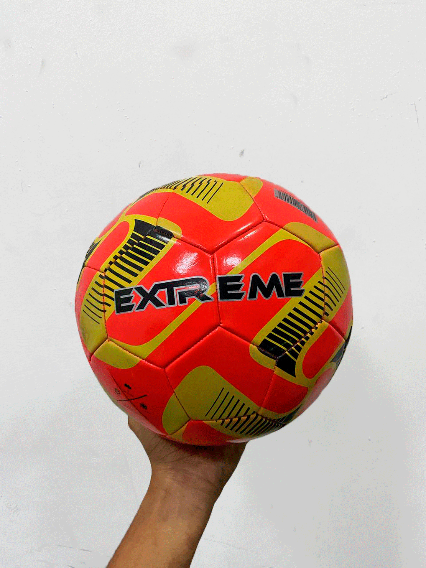 PELOTA - LI09122