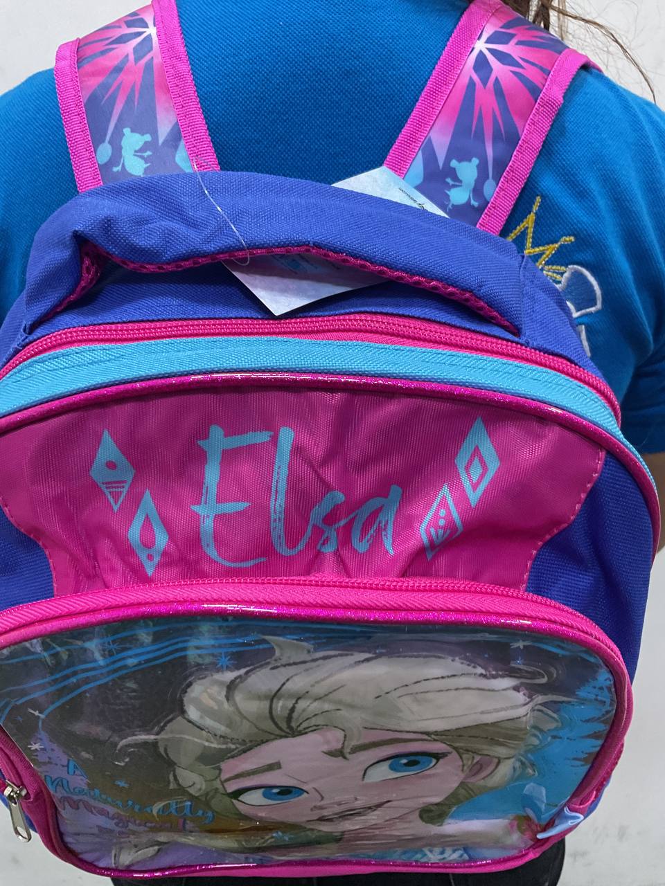 BOLSO DE ELSA - 087220137
