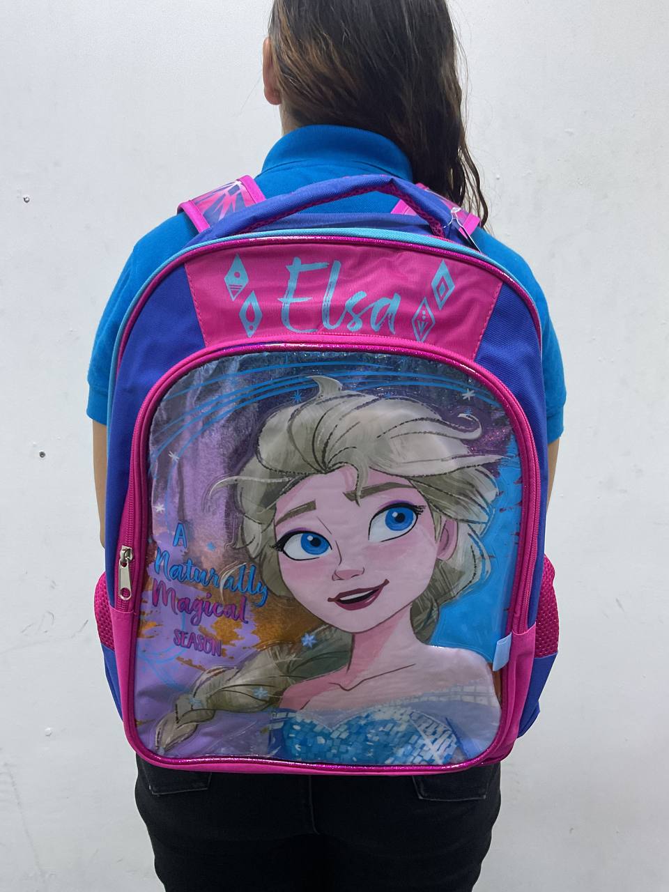 BOLSO DE ELSA - 087220138