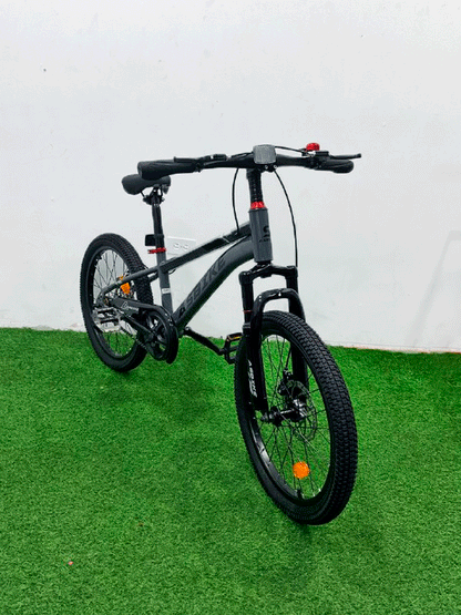 BICICLETA RIN 20 - HX25