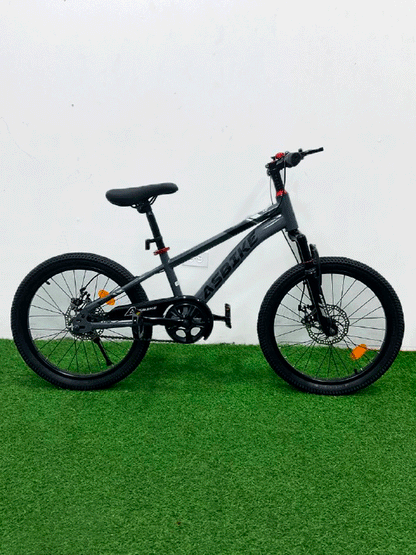 BICICLETA RIN 20 - HX25