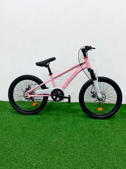 BICICLETA RIN 20 - HX25