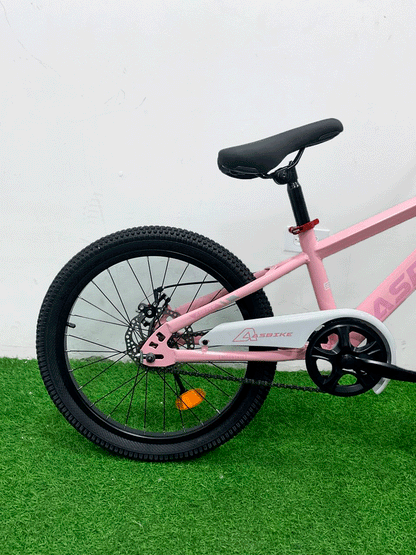 BICICLETA RIN 20 - HX25