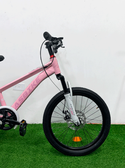 BICICLETA RIN 20 - HX25