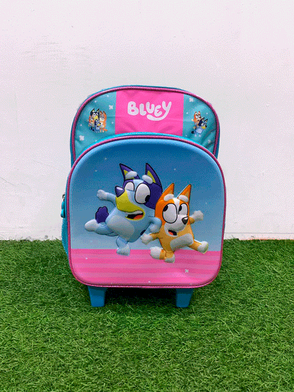 BOLSO TIPO MALETA - DXRBLUP2446