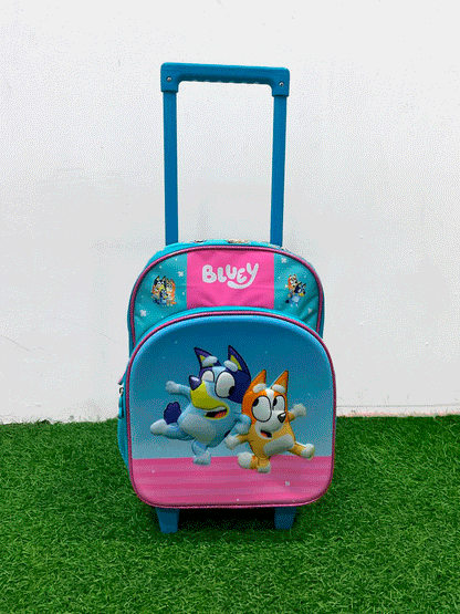 BOLSO TIPO MALETA - DXRBLUP2446