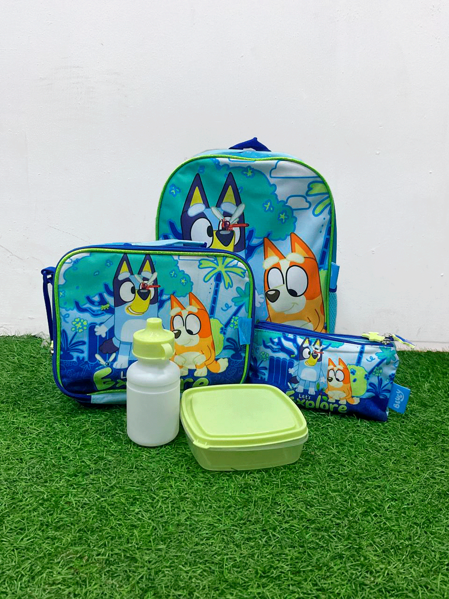SET DE BOLSO - DXABLUP2555