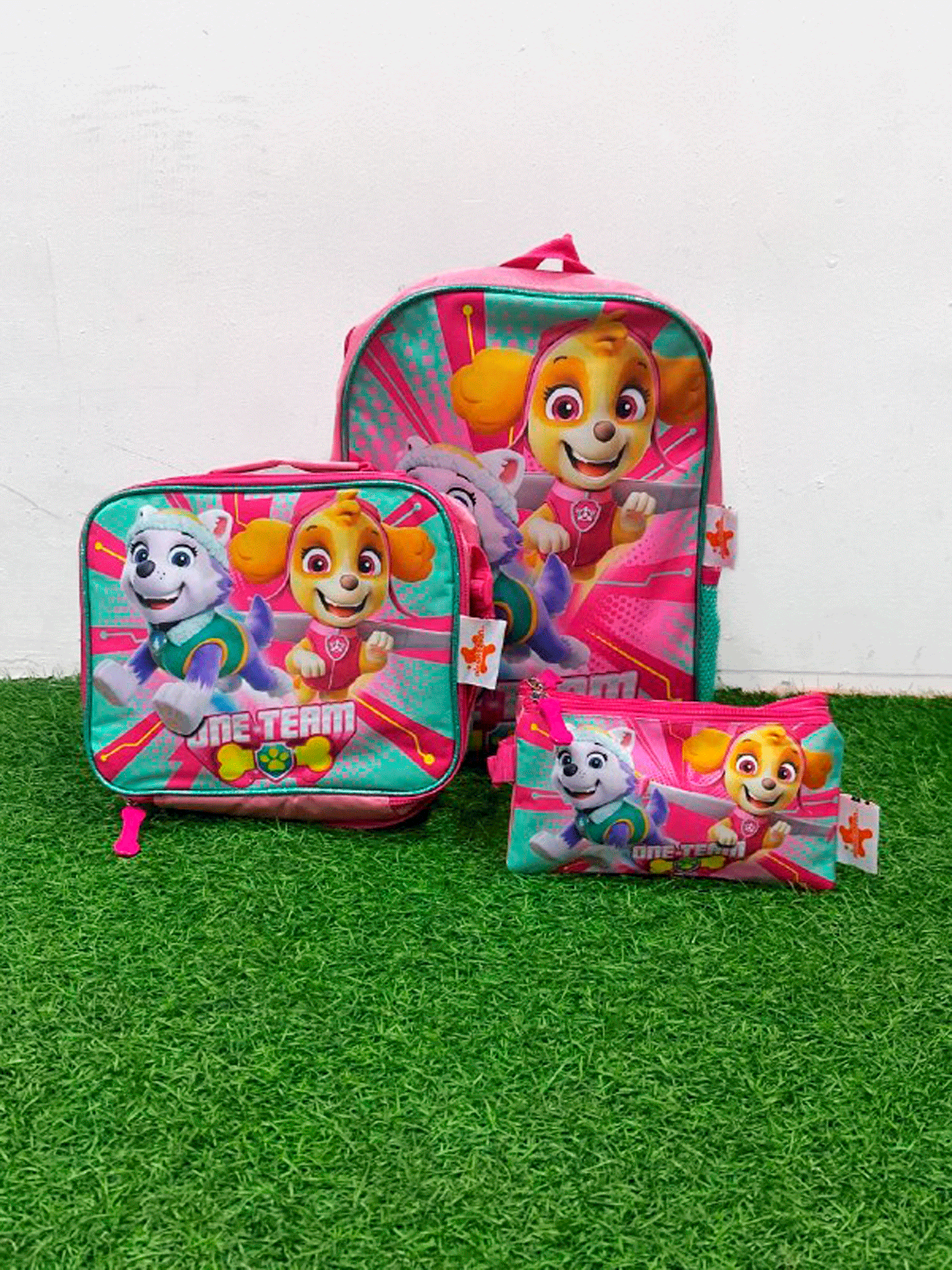 SET DE BOLSO - XXAPWP4610